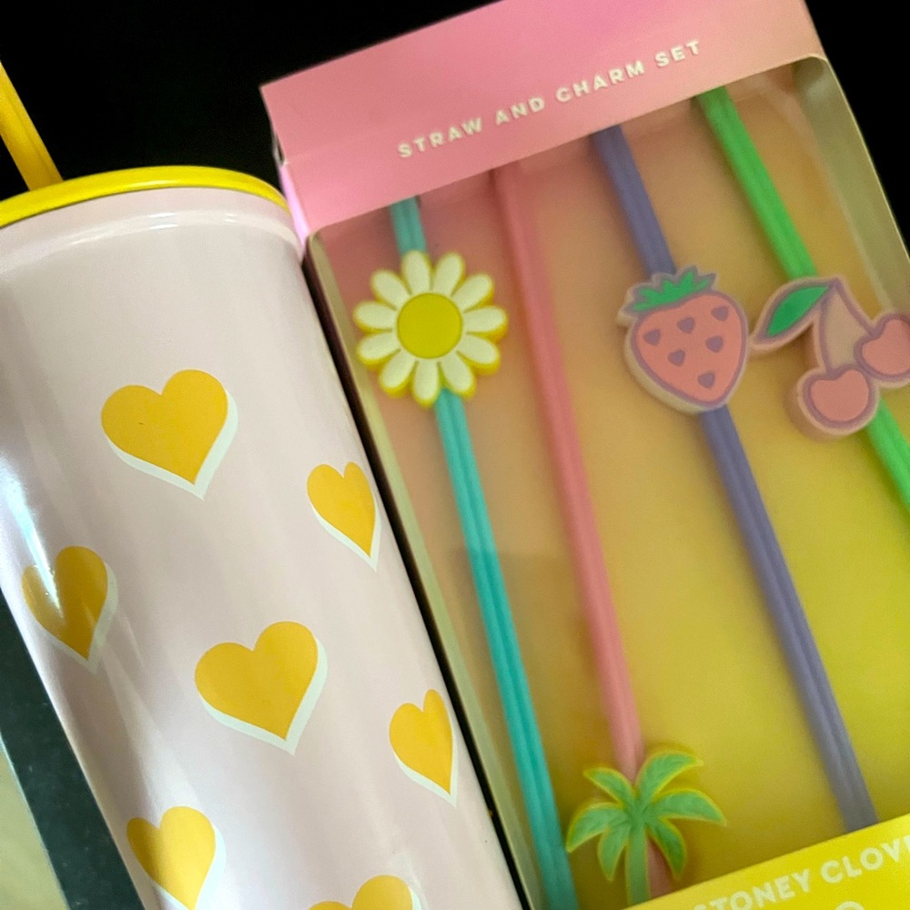 New Stoney Clover X Target 23 oz Tumbler and Straw Set